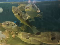 -喜来酌海鲜·饺子(和平一店)