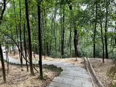 -火炉山森林公园