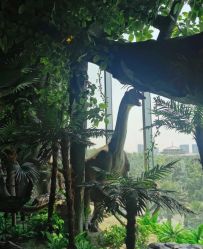 -恐龙探索乐园(磁器口店)