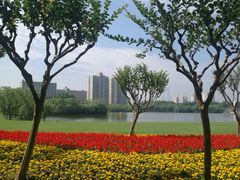 -黄兴公园