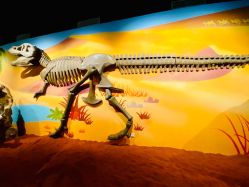 -北京科学中心儿童乐园