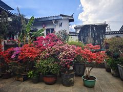 -瑞丰园庭院餐厅·白族传统家常菜