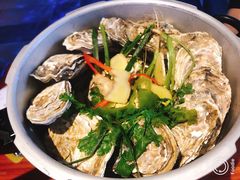 -千岛蚝高压锅生蚝·人参火锅(白云万达店)