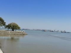 -大湾区中央湿地公园