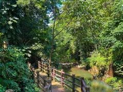 -广州市石门国家森林公园