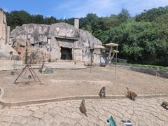 -哈尔滨北方森林动物园