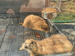 -青岛鑫江温德姆酒店