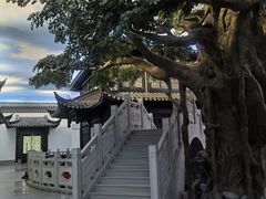 -馋遇江南·精致湖景雅宴(东方之门店)