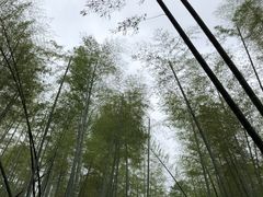 -龙井壹号·茶缘山景宴(龙井村店)
