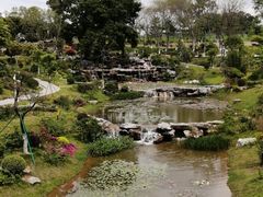 -东莞植物园