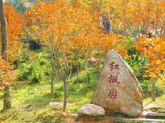 -广州市帽峰山景区