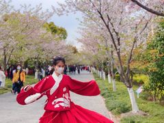 -高东镇樱花园