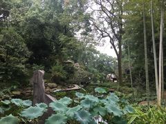 -南山植物园