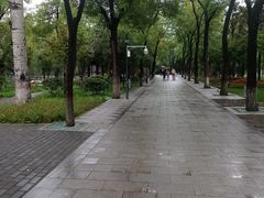 -莲湖公园