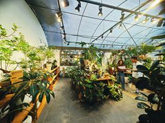 -自由生长植物工作室(深港花卉中心店)