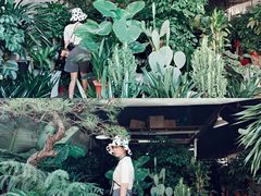 -桂林市花鸟市场