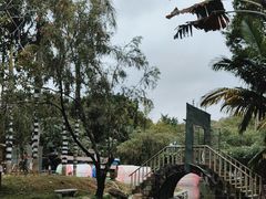 -深圳野生动物园