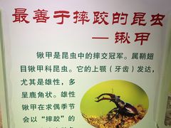 -上海昆虫博物馆