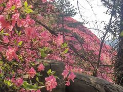 -木兰云雾山