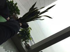 -龙景攀岩(海峡世茂广场店)