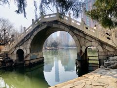 -团结湖公园