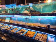 -喜庭海鲜自助(深圳万丰海岸城店)