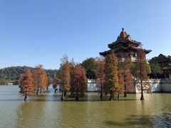 -顺峰山公园