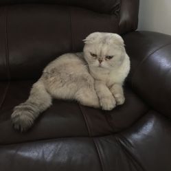 -花药坊·花藥坊-芳香疗法工作室