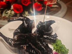 黑金乳鸽-旺金鸽·传承15年老字号·手工早茶(荔湾坦尾桥中店)