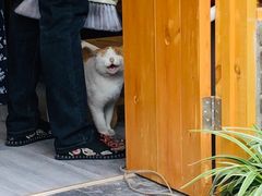 -盂城驿-南门大街