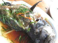 广式蒸石斑鱼-蓝湾碧波·老字号·疍家非遗海上餐厅