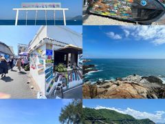 -亚龙湾热带天堂森林公园