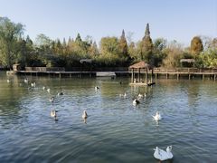 -溱湖国家湿地公园