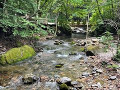 -本溪汤沟绿石谷森林公园