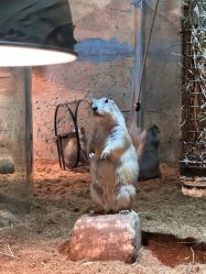 -Zoolung Zoolung动物主题公园(海信广场店)