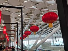 -郑州新郑国际机场-T2航站楼