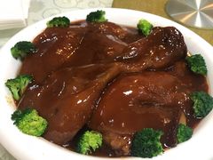 -丁老爷子苏香圆