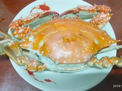 -何庄子阿米玛玛农产品批发市场