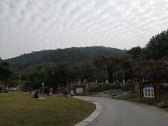 -火炉山森林公园