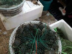 -恒达综合农贸市场(黄山路店)