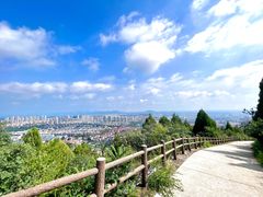 -府君山公园