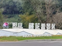 -桃花岛景观公园
