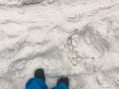 -广州热雪奇迹