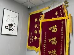 -半岛宠物医院24小时(科华中路店)