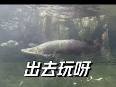 -青青世界