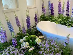 -Blue Concept Cafe&Farm·關於藍