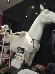 -DOS HOP潮上舞蹈