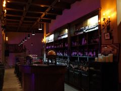 -北京拉斐特城堡酒店