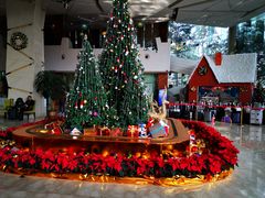 -成都世纪城假日酒店-西楼