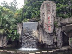 -广州市流溪河国家森林公园